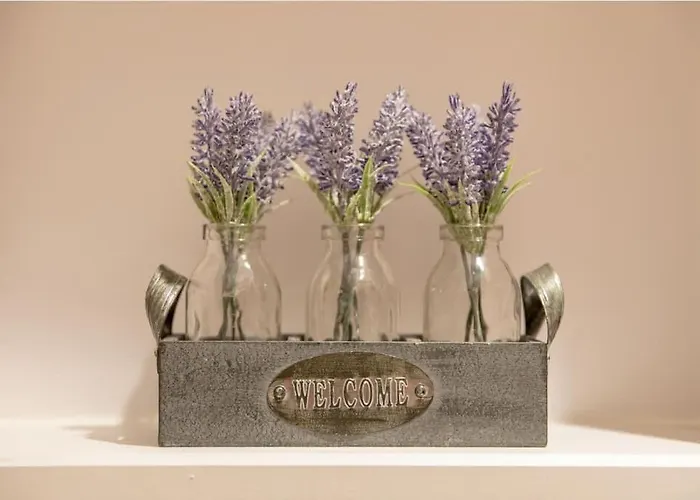 招待所 The Vanguard - Private